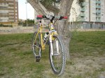 DSC04968.jpg