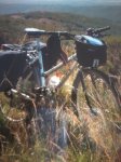 bici maria.jpg