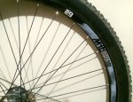 IMG_9979.jpeg