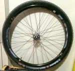 IMG_9980.jpeg