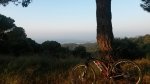 20140803_072345.jpg