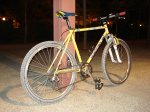 DSC04982.jpg
