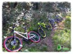 IMG_20140813_103129 copia_redimensionar.jpg