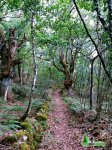 IMG_20140813_103427 copia_redimensionar.jpg