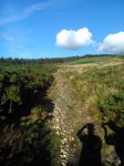DSC_0359.jpg