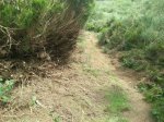 IMG-20140815-WA0014.jpg