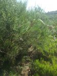 IMG-20140815-WA0015.jpg