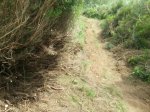 IMG-20140815-WA0003.jpg