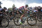 eneco14st5-boom.jpg