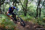 cannondale1.JPG