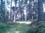IMG-20140819-WA0015.jpeg