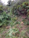 IMG-20140819-WA0017.jpg