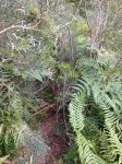 IMG-20140819-WA0012.jpg