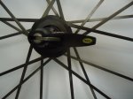 DSC01103.JPG