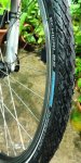 DSC08850.JPG