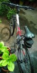 DSC08856.JPG