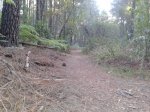 20140821_083959.jpg