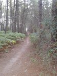 20140821_085059.jpg