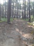 20140820_100530.jpg