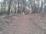 20140821_084009.jpg