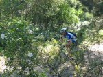 IMG_0014_resize.JPG