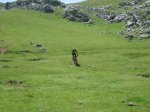 IMG_2749.jpg