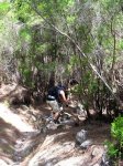 IMG_1102.JPG