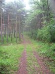 DSCN2014.JPG