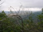 DSCN2029.JPG