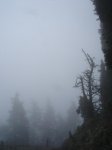 DSC06339.JPG