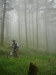 DSC06350.JPG