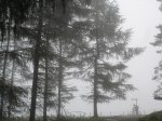 DSC06352.JPG