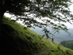 DSC06362.JPG