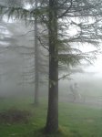 DSC06381.JPG