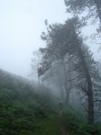 DSC06390.JPG