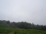 DSC06394.JPG