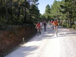 Imagen 008.JPG