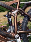 Specialized_Pitch_Fox_rear_shock_and_linkage.jpg