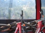 m_IMG_2717.jpg
