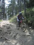 m_IMG_2762.jpg