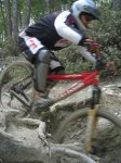 m_IMG_2764.jpg