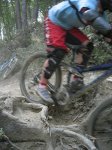m_IMG_2765.jpg