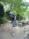 m_IMG_2770.jpg