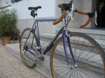 bichi 052.JPG