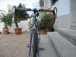 bichi 053.JPG