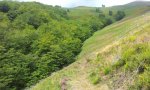 IMG-20140821-WA0003.jpg