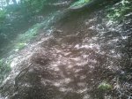IMG-20140821-WA0010.jpg