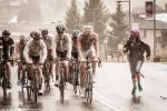 prochallenge14st2-purplehair-copy.jpg