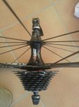 IMG-20140809-WA0019.jpg