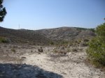 DSC02355.JPG